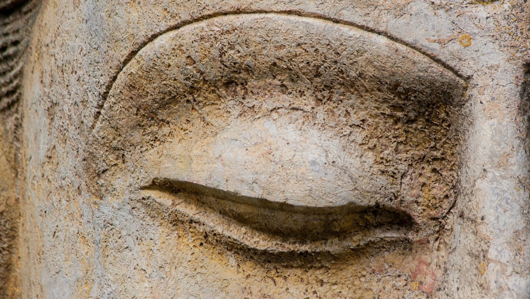 Brahmi~Gotu Kola (Centella asiatica), planta sanatatii creierului